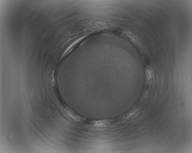 X0000060790088200511101430