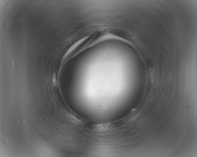 X0000060790089200511101430