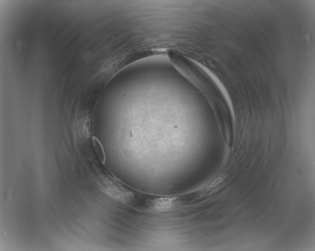 X0000060790090200511101430