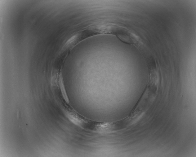 X0000060790092200511101430