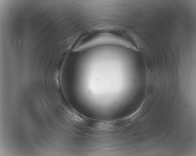 X0000060790094200511101430