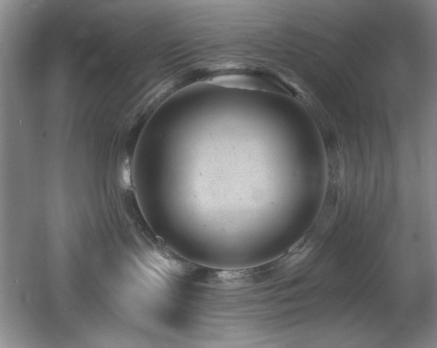 X0000060790095200511101430