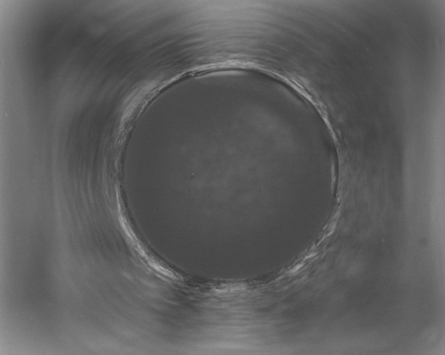 X0000060790097200511101429