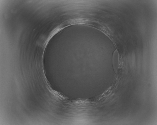 X0000060790099200511101429