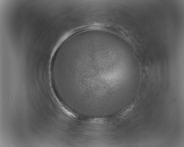 X0000060790102200511101429