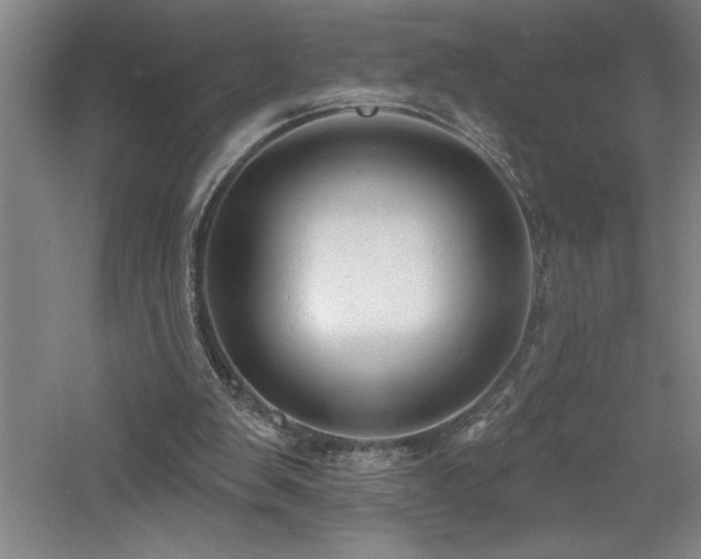 X0000060790103200511101429