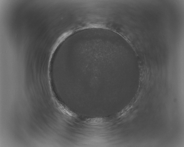 X0000060790104200511101429