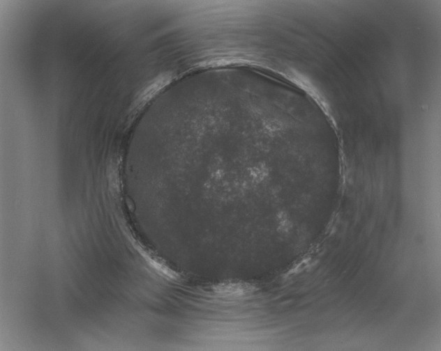 X0000060790105200511101429