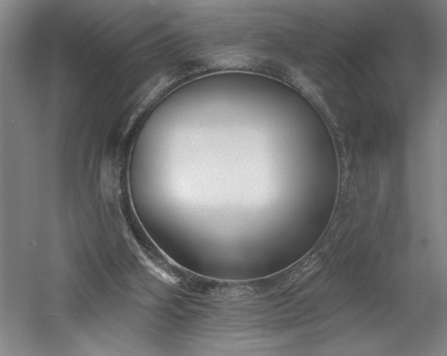 X0000060790106200511101429