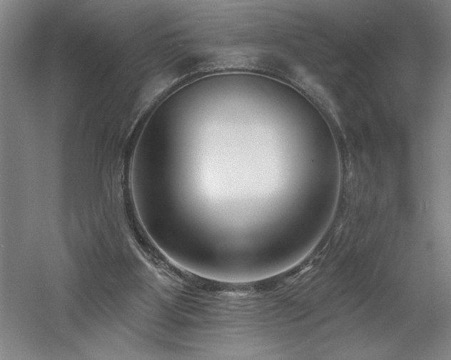 X0000060790107200511101429