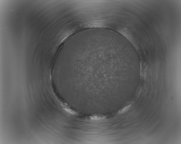 X0000060790109200511101429