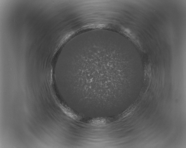 X0000060790110200511101429