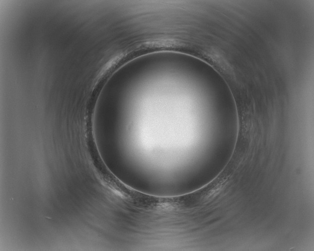 X0000060790111200511101429