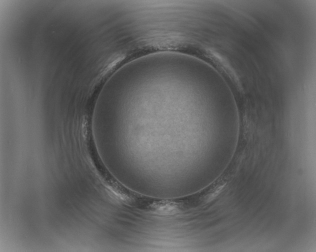 X0000060790113200511101429