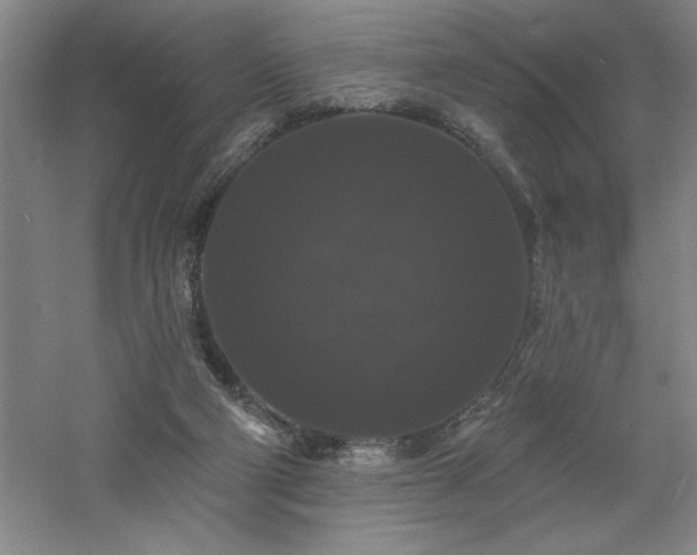 X0000060790114200511101429