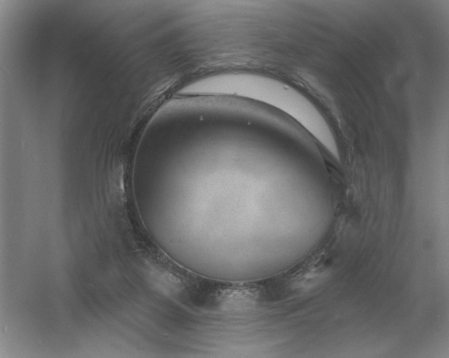 X0000060790115200511101429