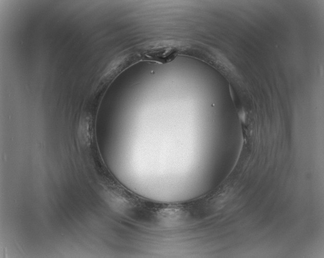 X0000060790119200511101429