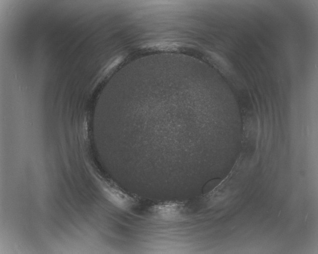 X0000060790120200511101429