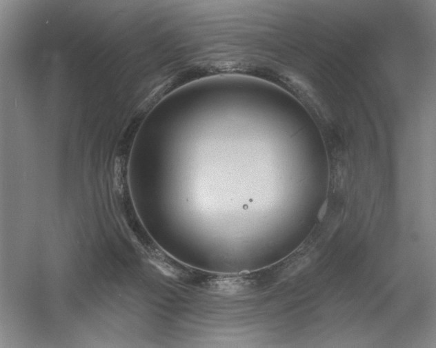 X0000060790121200511101429