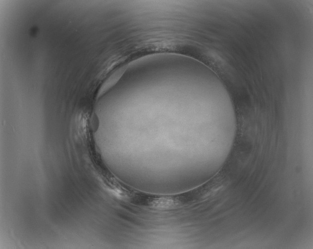 X0000060790123200511101429