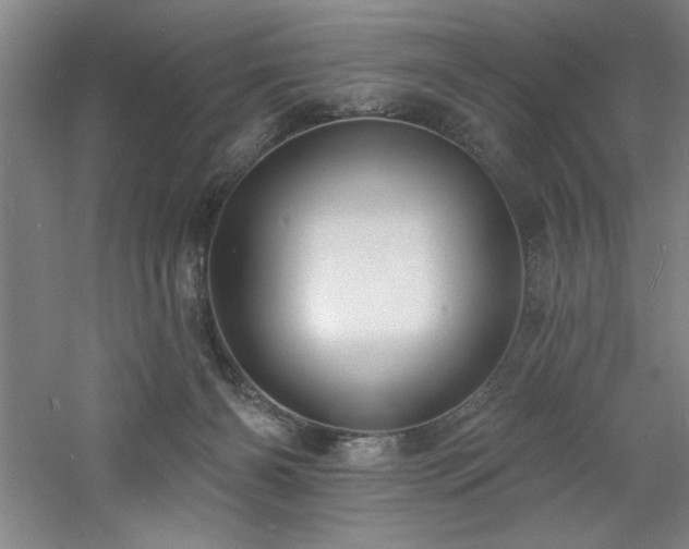 X0000060790126200511101428