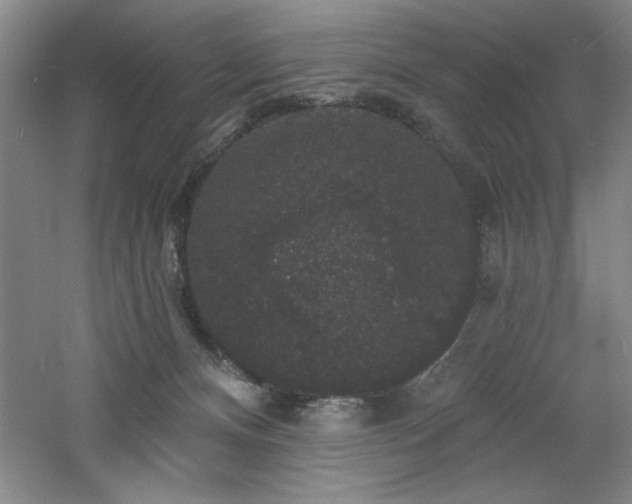 X0000060790128200511101428