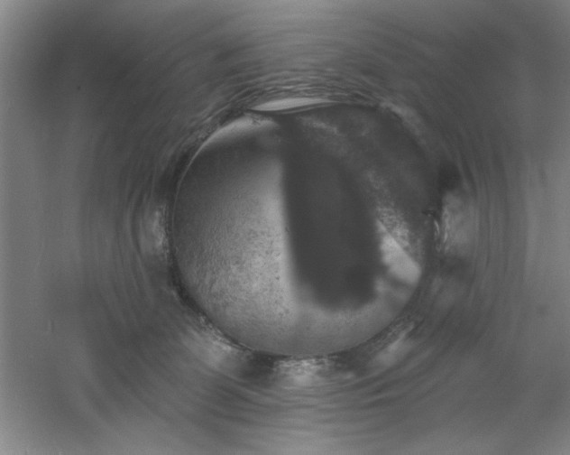 X0000060790131200511101428