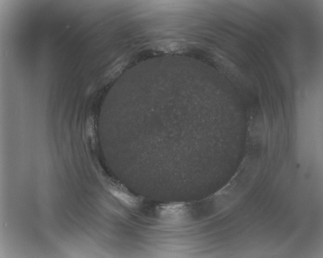 X0000060790132200511101428