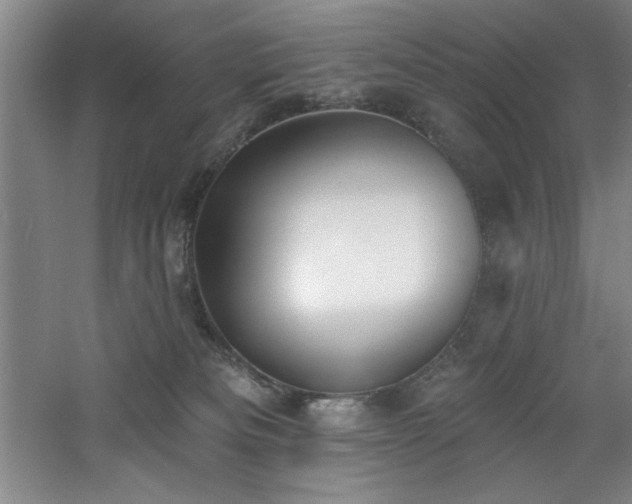 X0000060790133200511101428