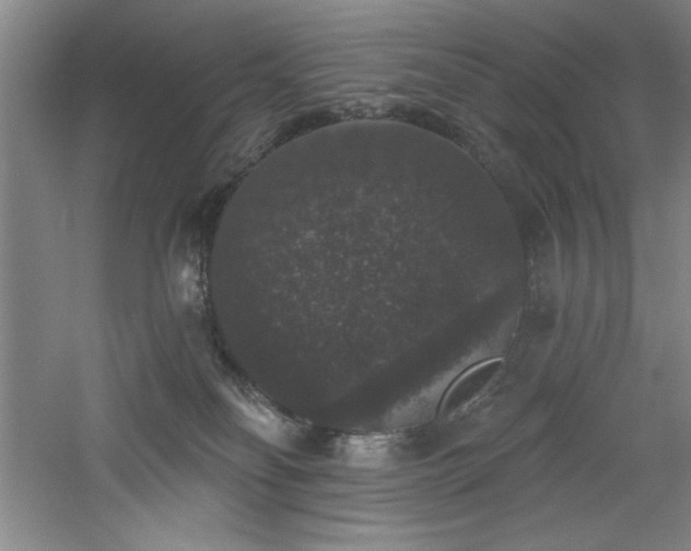 X0000060790134200511101428