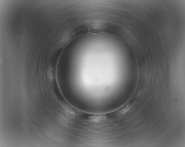 X0000060790135200511101428