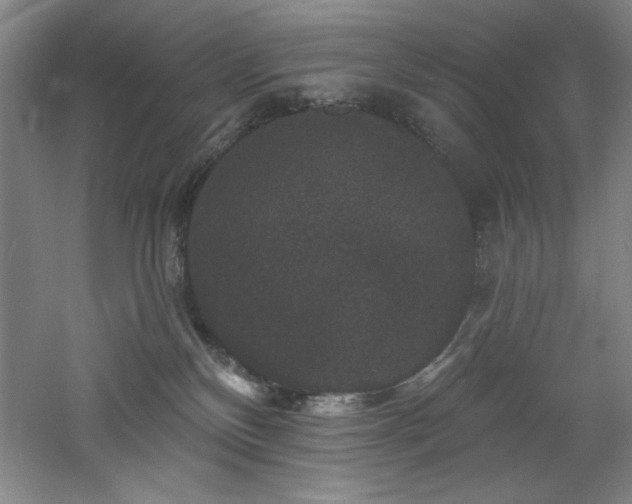 X0000060790136200511101428