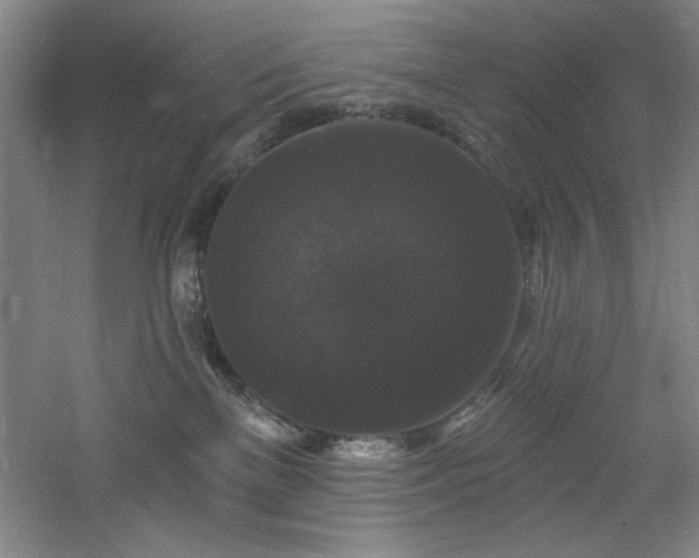 X0000060790137200511101428