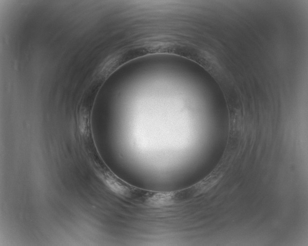 X0000060790138200511101428