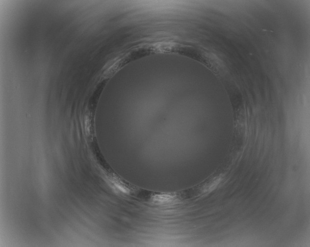 X0000060790139200511101428