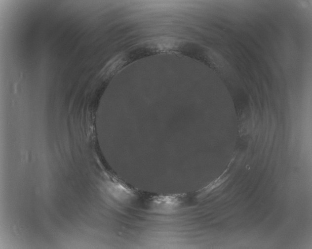 X0000060790140200511101428