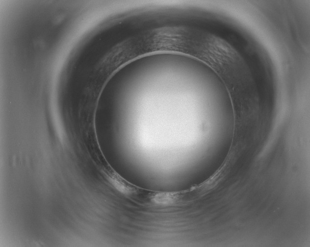 X0000060790142200511101428