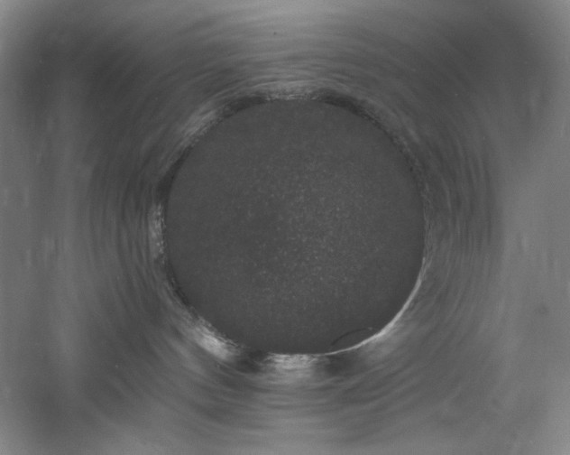 X0000060790144200511101428