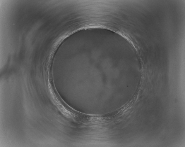 X0000060790145200511101427