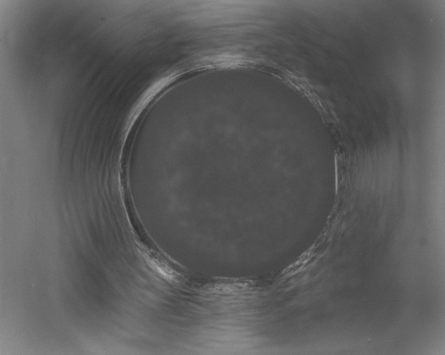 X0000060790147200511101427