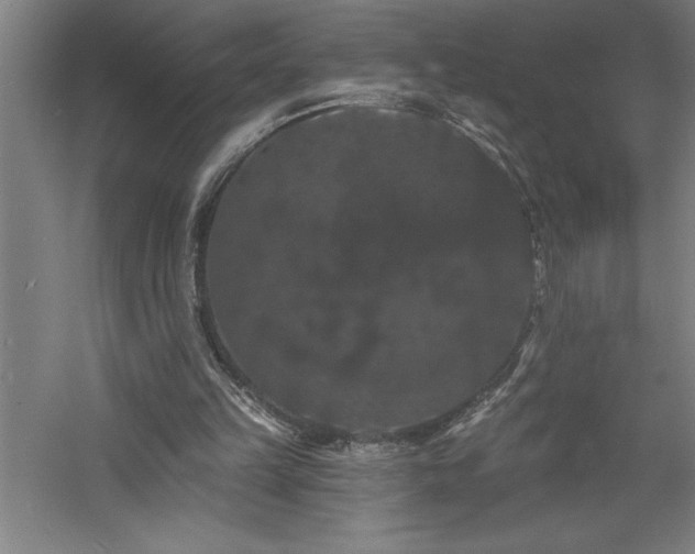 X0000060790149200511101427