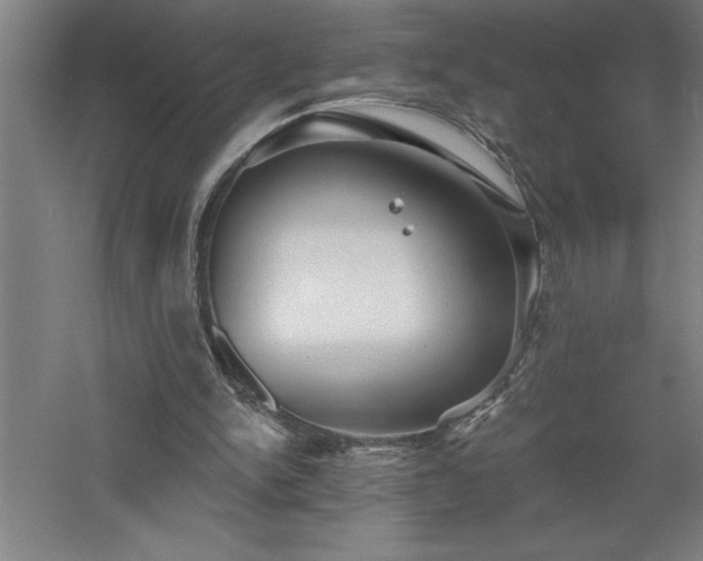 X0000060790150200511101427