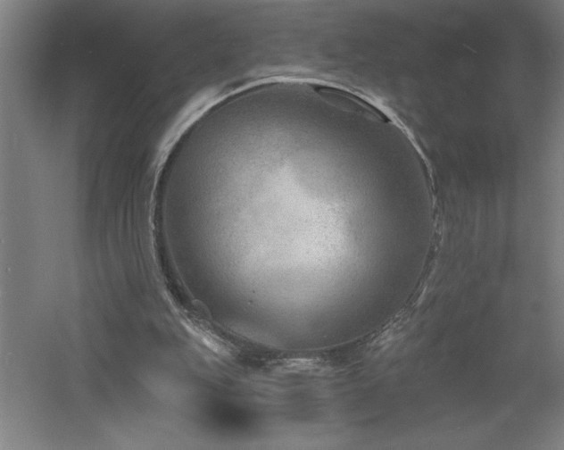 X0000060790151200511101427