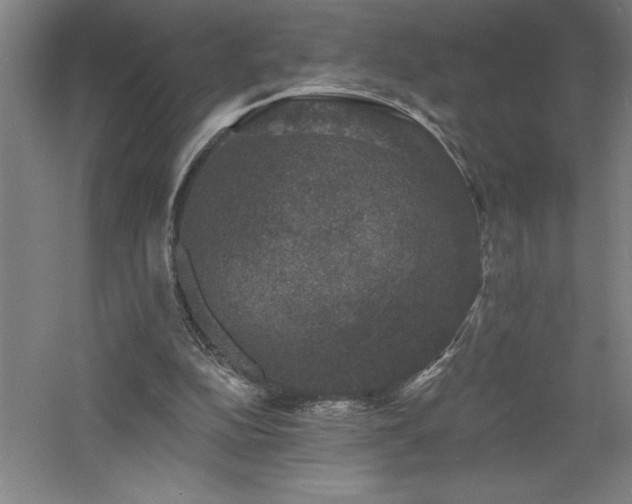 X0000060790152200511101427