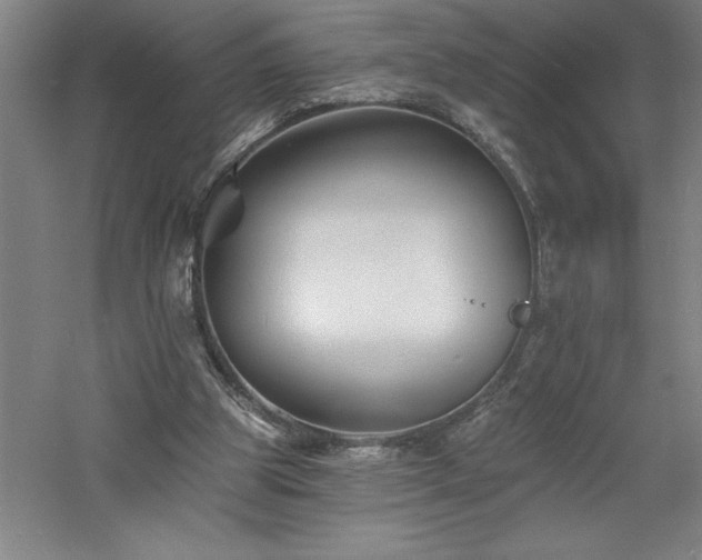 X0000060790153200511101427