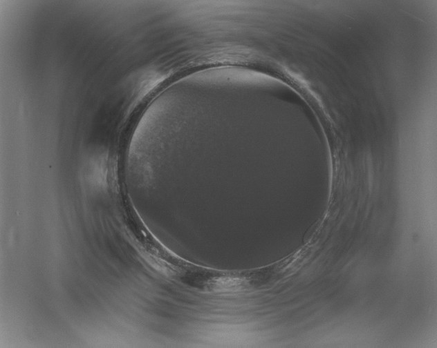 X0000060790154200511101428