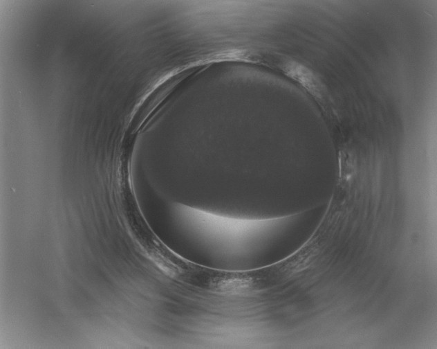 X0000060790156200511101428