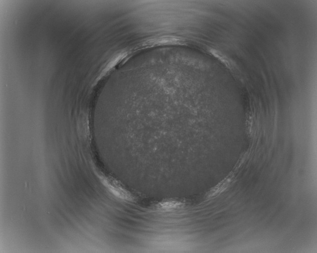 X0000060790158200511101428