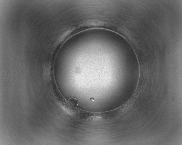 X0000060790159200511101428