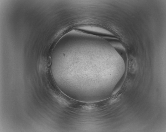 X0000060790164200511101428